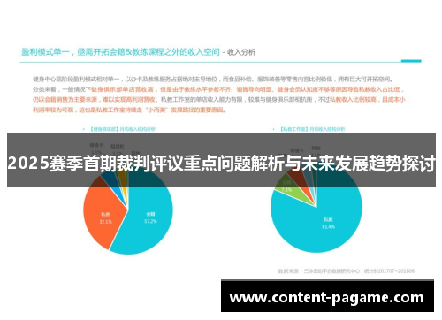 2025赛季首期裁判评议重点问题解析与未来发展趋势探讨