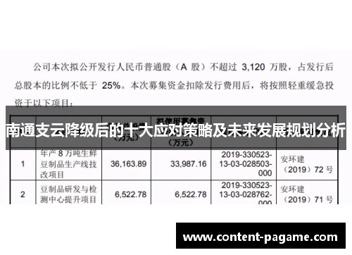 南通支云降级后的十大应对策略及未来发展规划分析
