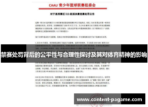 禁赛处罚背后的公平性与合理性探讨及其对体育精神的影响