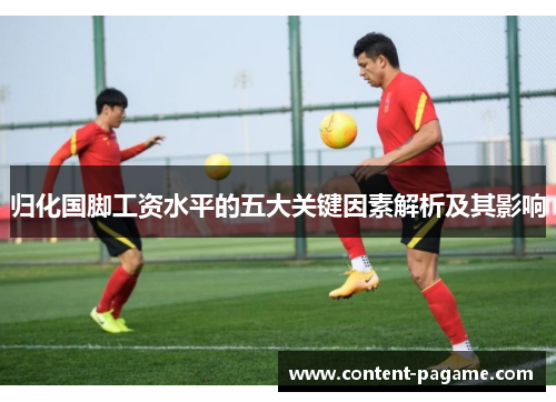 归化国脚工资水平的五大关键因素解析及其影响