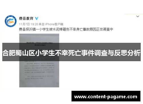 合肥蜀山区小学生不幸死亡事件调查与反思分析 合肥蜀山区小学生不幸死亡事件调查与反思分析