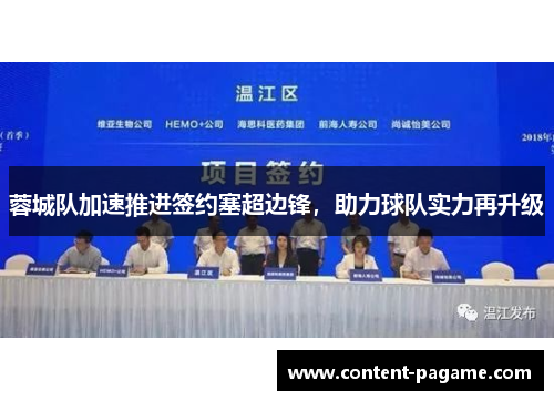 蓉城队加速推进签约塞超边锋,助力球队实力再升级 蓉城队加速推进签约塞超边锋,助力球队实力再升级