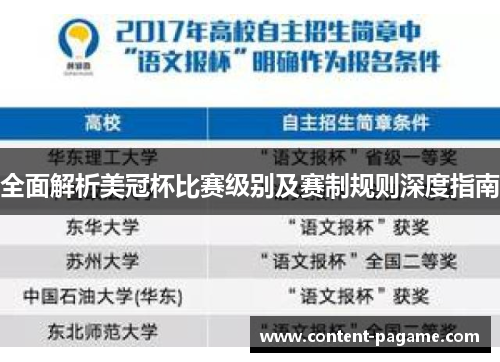 全面解析美冠杯比赛级别及赛制规则深度指南