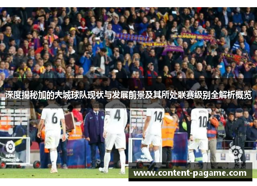 深度揭秘加的夫城球队现状与发展前景及其所处联赛级别全解析概览