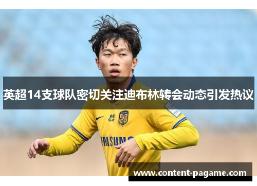 英超14支球队密切关注迪布林转会动态引发热议 英超14支球队密切关注迪布林转会动态引发热议